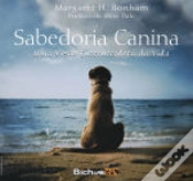 Capa do artigo Sabedoria Canina