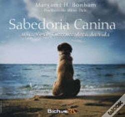 Capa do artigo Sabedoria Canina