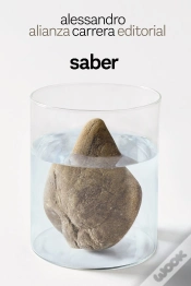 Capa do artigo Saber