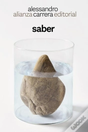 Capa do artigo Saber
