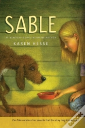 Capa do artigo Sable