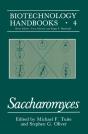 Saccharomyces - Preview