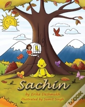 Capa do artigo Sachin