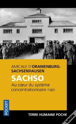 Capa do artigo Sachso