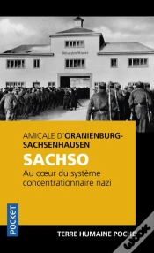 Capa do artigo Sachso