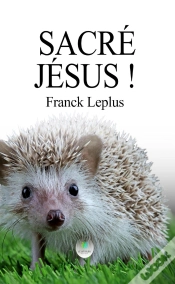 Capa do artigo Sacré Jésus !