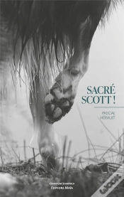 Capa do artigo Sacré Scott !