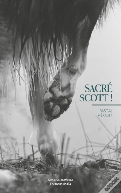 Capa do artigo Sacré Scott !