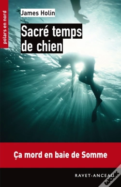 Capa do artigo Sacré Temps De Chien