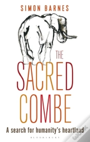 Capa do artigo Sacred Combe