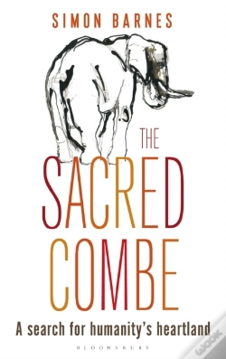 Capa do artigo Sacred Combe