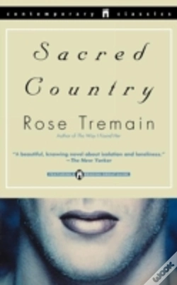 Capa do artigo Sacred Country
