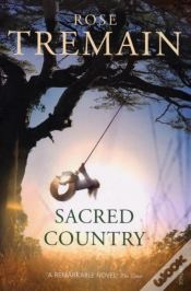 Capa do artigo Sacred Country