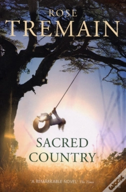 Capa do artigo Sacred Country