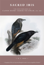 Sacred Ibis - Preview