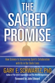 Capa do artigo Sacred Promise