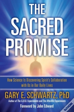 Capa do artigo Sacred Promise