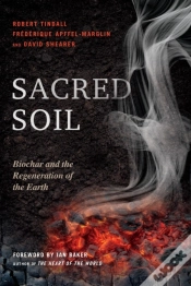 Capa do artigo Sacred Soil