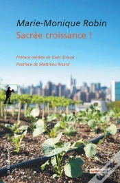 Capa do artigo Sacrée Croissance !