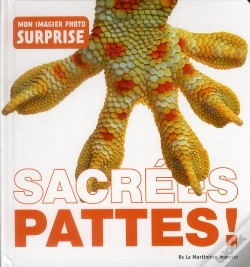 Capa do artigo Sacrees Pattes !
