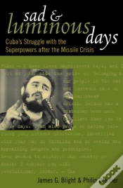 Capa do artigo Sad And Luminous Days