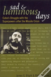 Capa do artigo Sad And Luminous Days