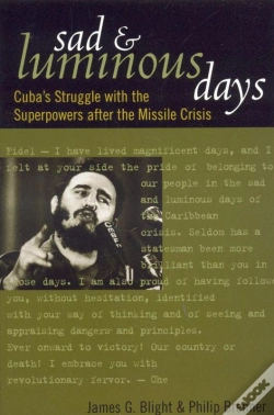 Capa do artigo Sad And Luminous Days