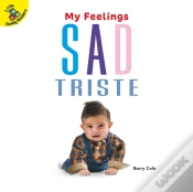 Capa do artigo Sad