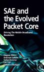 Sae And The Evolved Packet Core - Preview