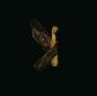 Saet El-Hazz (The Luck Hour) - CD - Preview