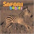 Safari Babies Bd