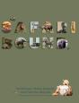 Safari Bound - Preview