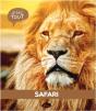Safari - Preview