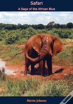 Capa do artigo Safari: