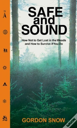 Capa do artigo Safe And Sound