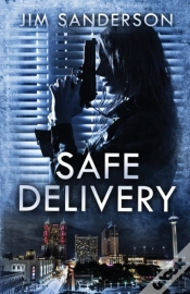 Capa do artigo Safe Delivery