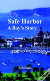 Capa do artigo Safe Harbor: A Boy