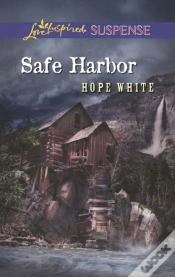 Capa do artigo Safe Harbor