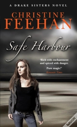Capa do artigo Safe Harbour
