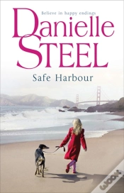 Capa do artigo Safe Harbour
