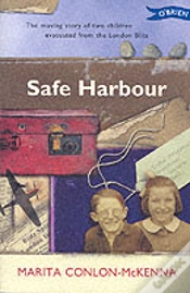Capa do artigo Safe Harbour