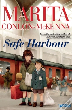 Capa do artigo Safe Harbour