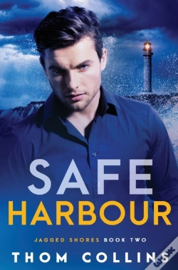 Capa do artigo Safe Harbour