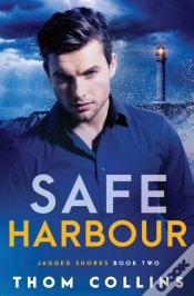 Capa do artigo Safe Harbour