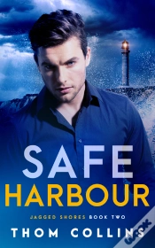 Capa do artigo Safe Harbour
