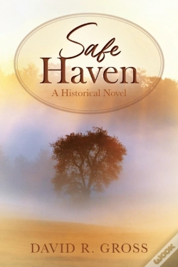 Capa do artigo Safe Haven