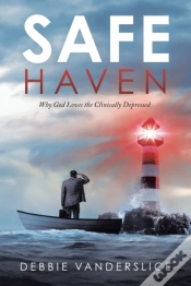 Capa do artigo Safe Haven