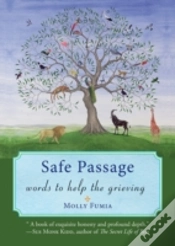 Capa do artigo Safe Passage