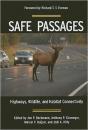 Safe Passages - Preview