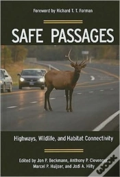 Capa do artigo Safe Passages